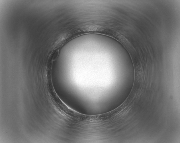 X0000060760207200512011523