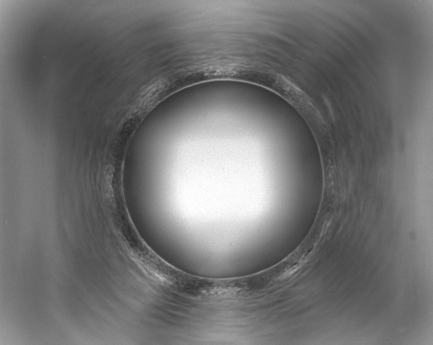 X0000060760209200512011523
