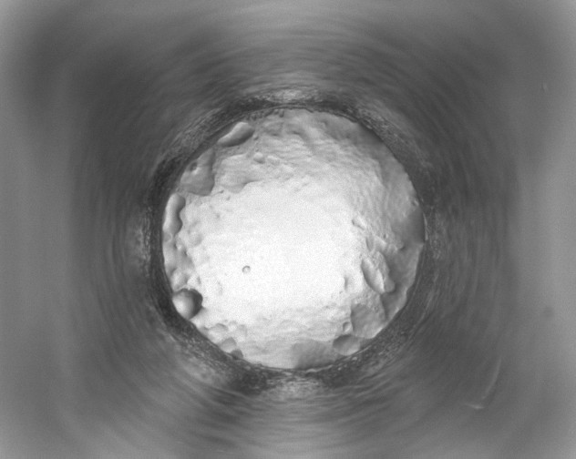 X0000060760210200512011522