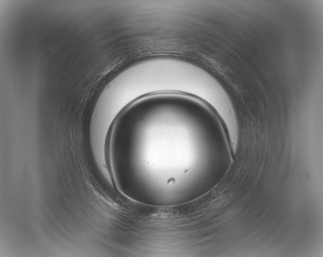 X0000060760211200512011522