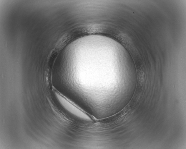 X0000060760214200512011522