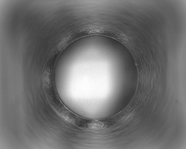 X0000060760215200512011522