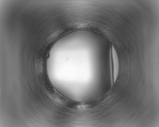 X0000060760216200512011522