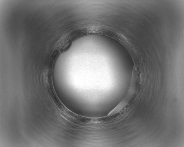 X0000060760217200512011522