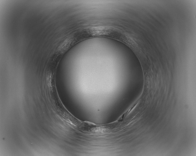 X0000060760219200512011522