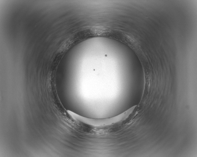 X0000060760221200512011522