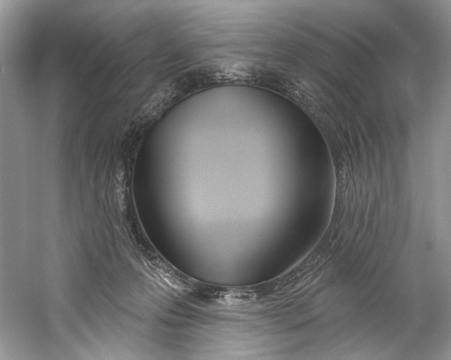 X0000060760223200512011522