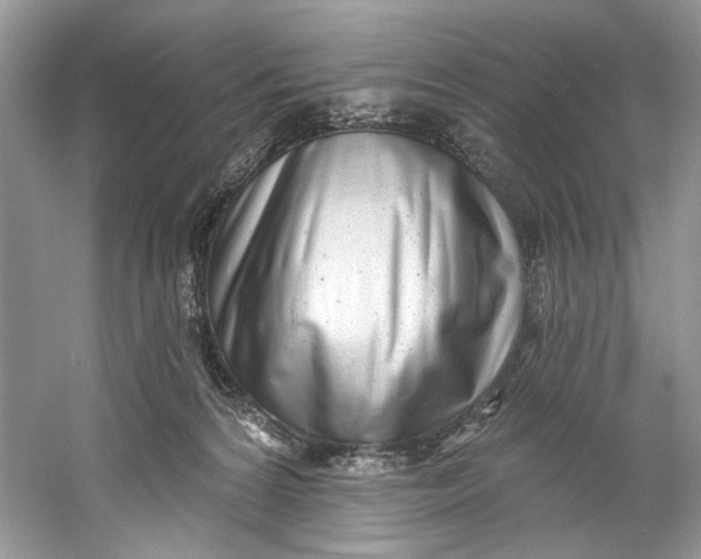 X0000060760224200512011522