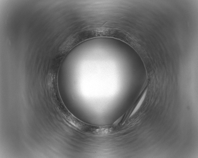 X0000060760225200512011522