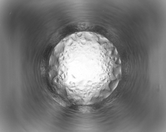 X0000060760226200512011522