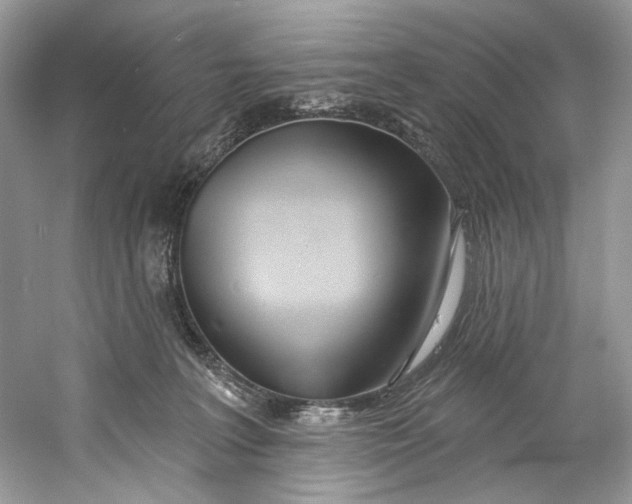 X0000060760227200512011522