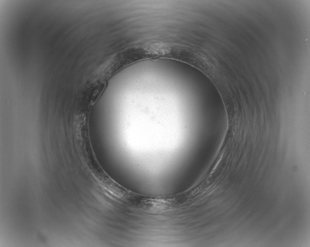 X0000060760229200512011522