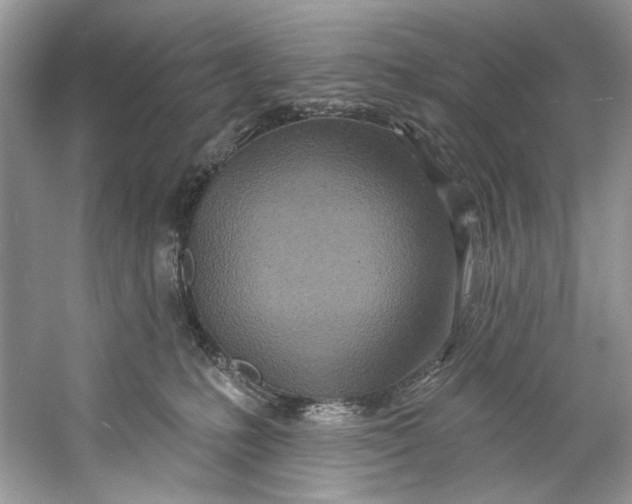 X0000060760231200512011522