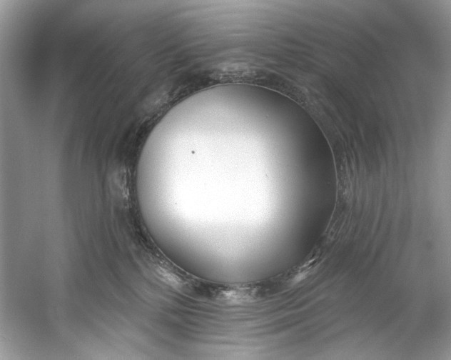 X0000060760232200512011522