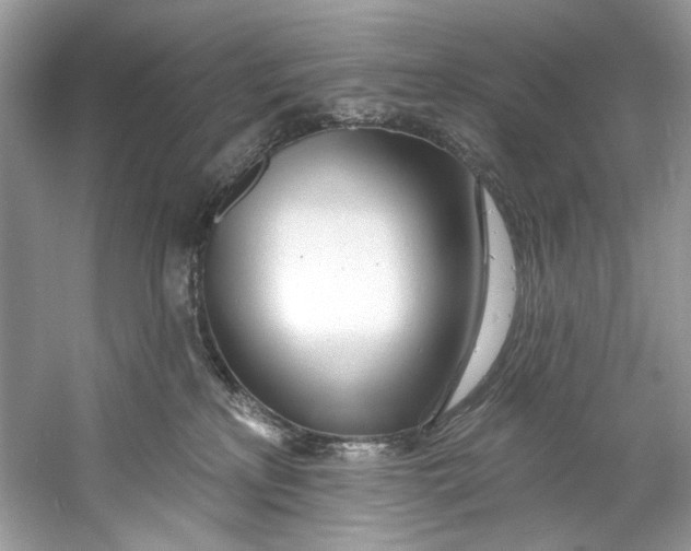 X0000060760233200512011522