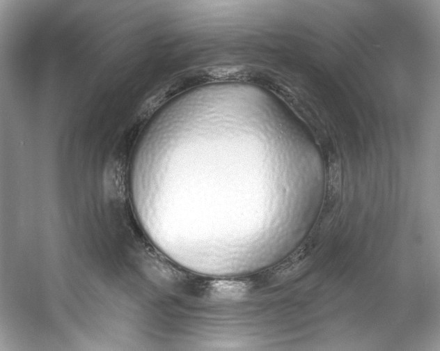 X0000060760234200512011522