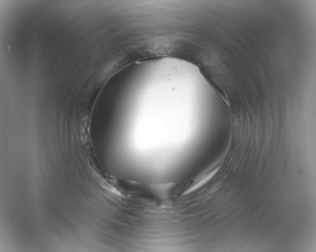 X0000060760237200512011522