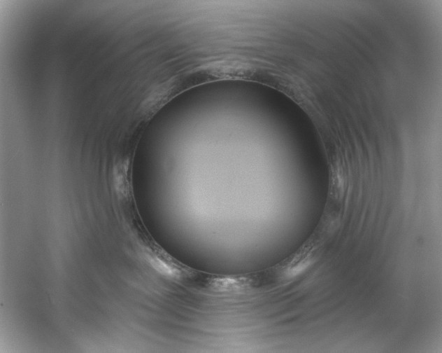 X0000060760239200512011522