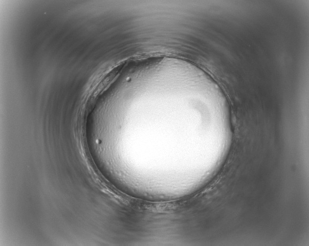 X0000060760241200512011521
