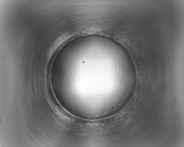 X0000060760242200512011521
