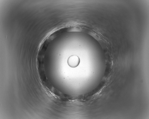 X0000060760244200512011521