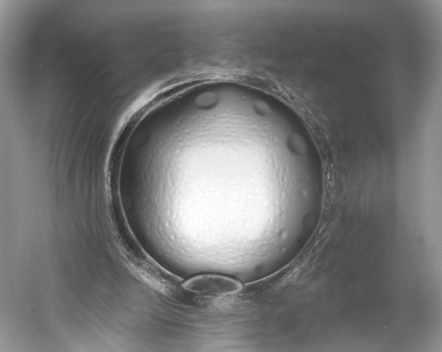 X0000060760246200512011521