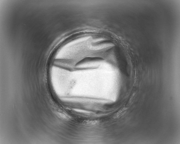 X0000060760247200512011521