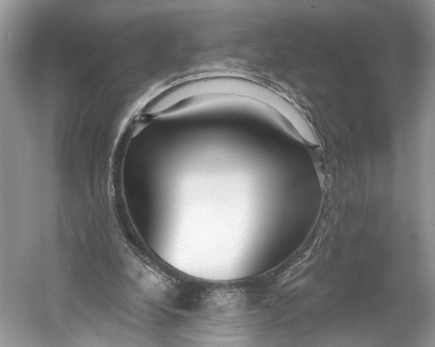 X0000060760248200512011521