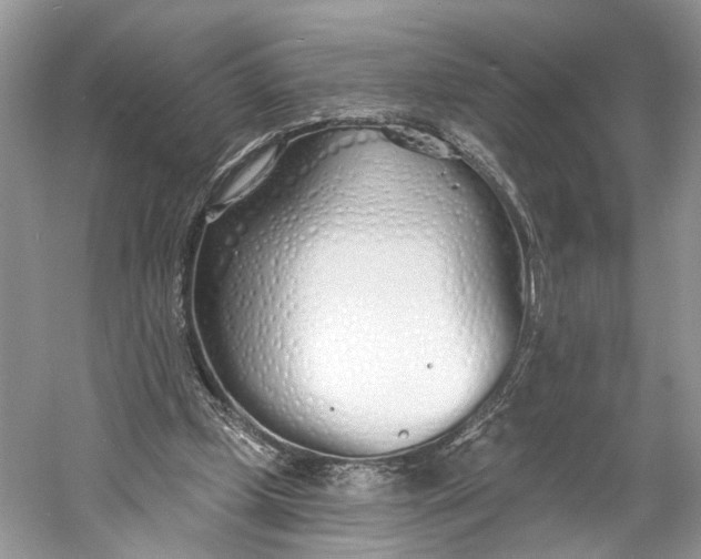 X0000060760249200512011521