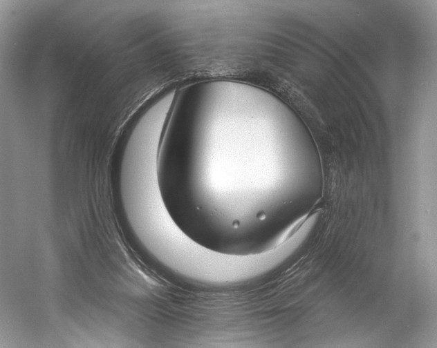 X0000060760251200512011521