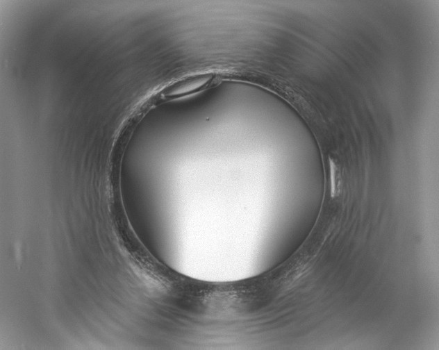 X0000060760252200512011521