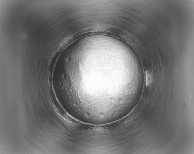 X0000060760253200512011521