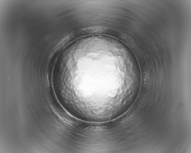 X0000060760254200512011521