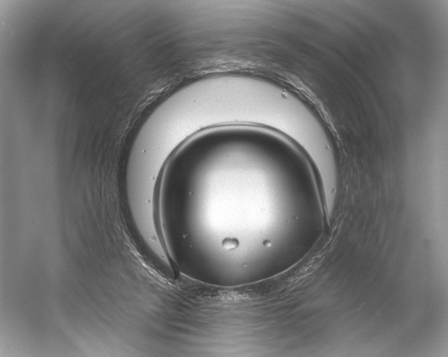 X0000060760257200512011521