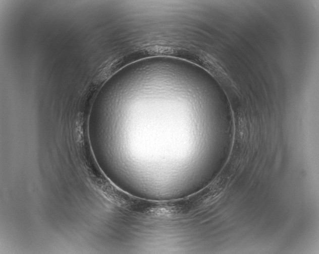 X0000060760259200512011521