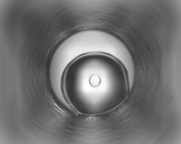 X0000060760261200512011521