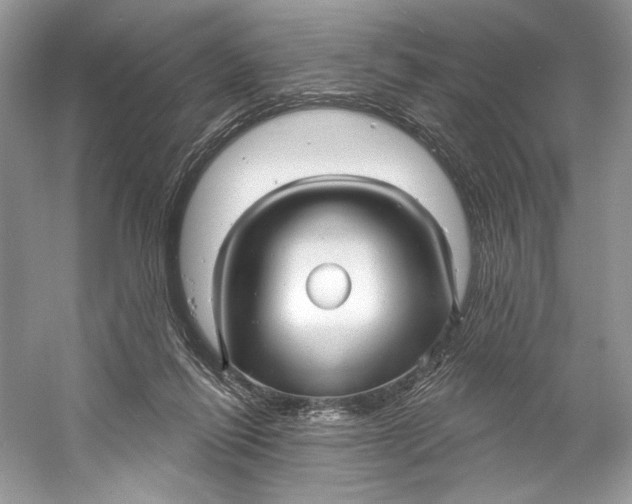 X0000060760262200512011521