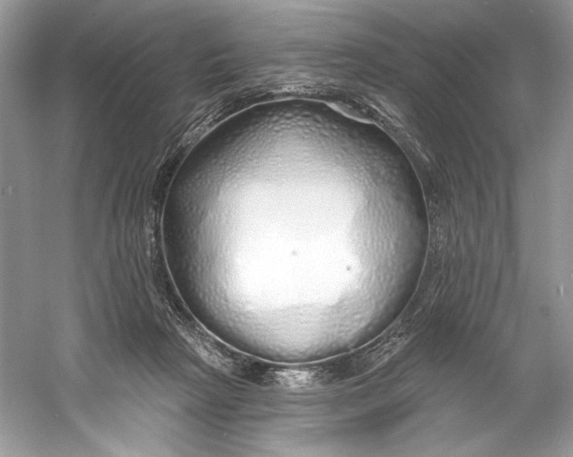 X0000060760265200512011522