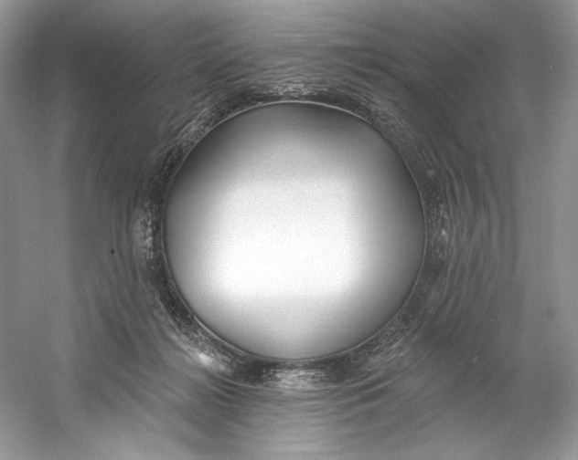 X0000060760268200512011522