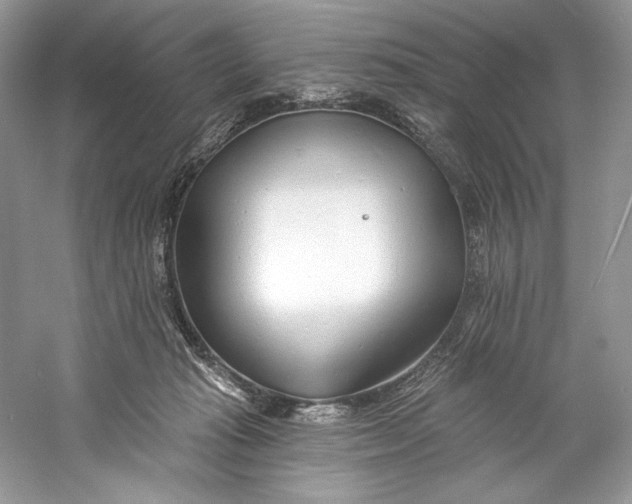 X0000060760269200512011522