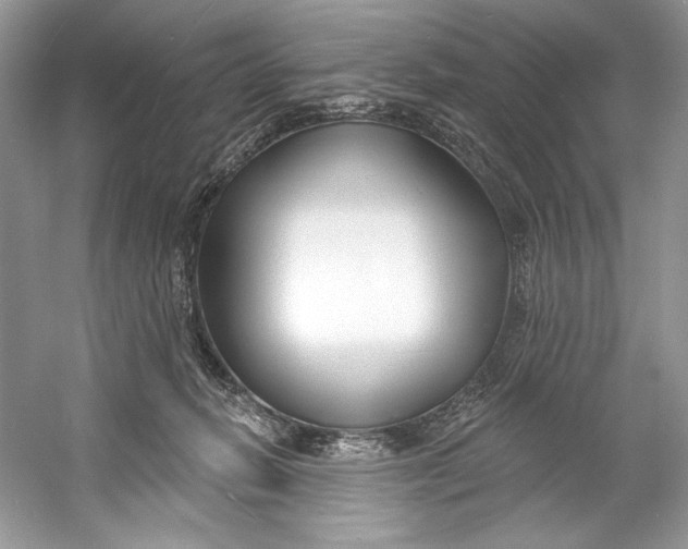 X0000060760270200512011522