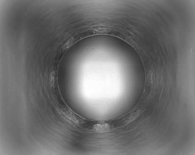 X0000060760271200512011522