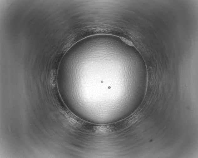 X0000060760273200512011522