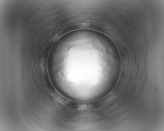 X0000060760274200512011522