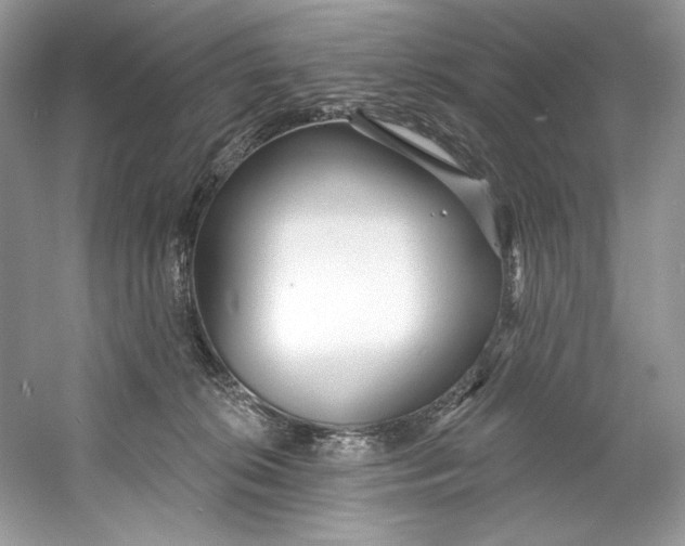 X0000060760276200512011522