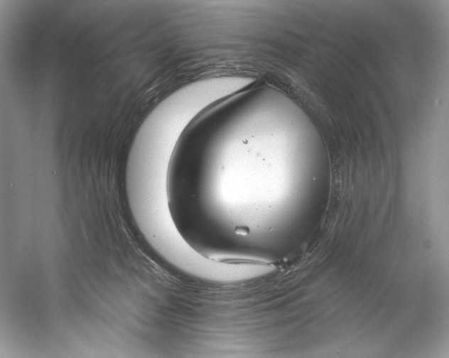 X0000060760277200512011522