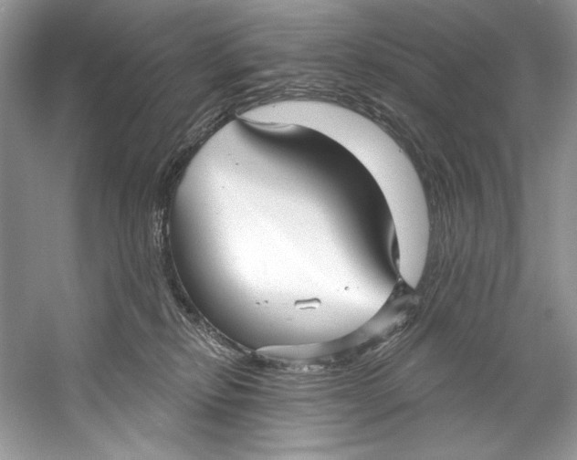 X0000060760278200512011522