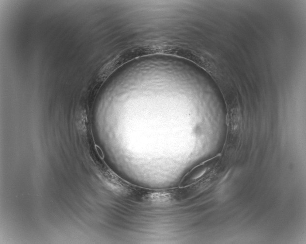 X0000060760279200512011522