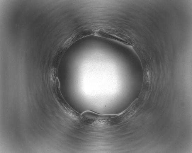 X0000060760280200512011522