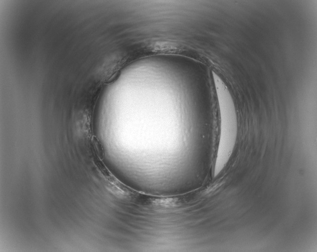 X0000060760281200512011522
